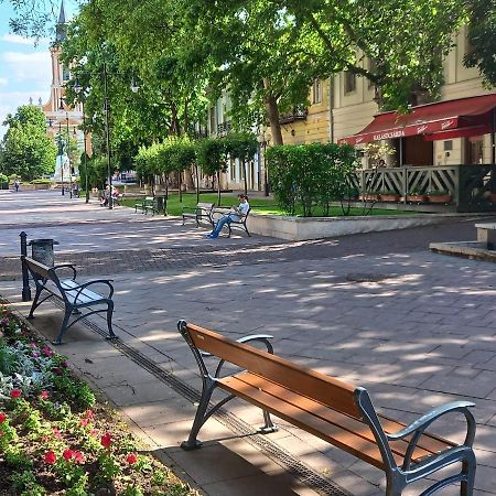Via Tokaj Vendeghaz Apartment Sátoraljaújhely Екстериор снимка