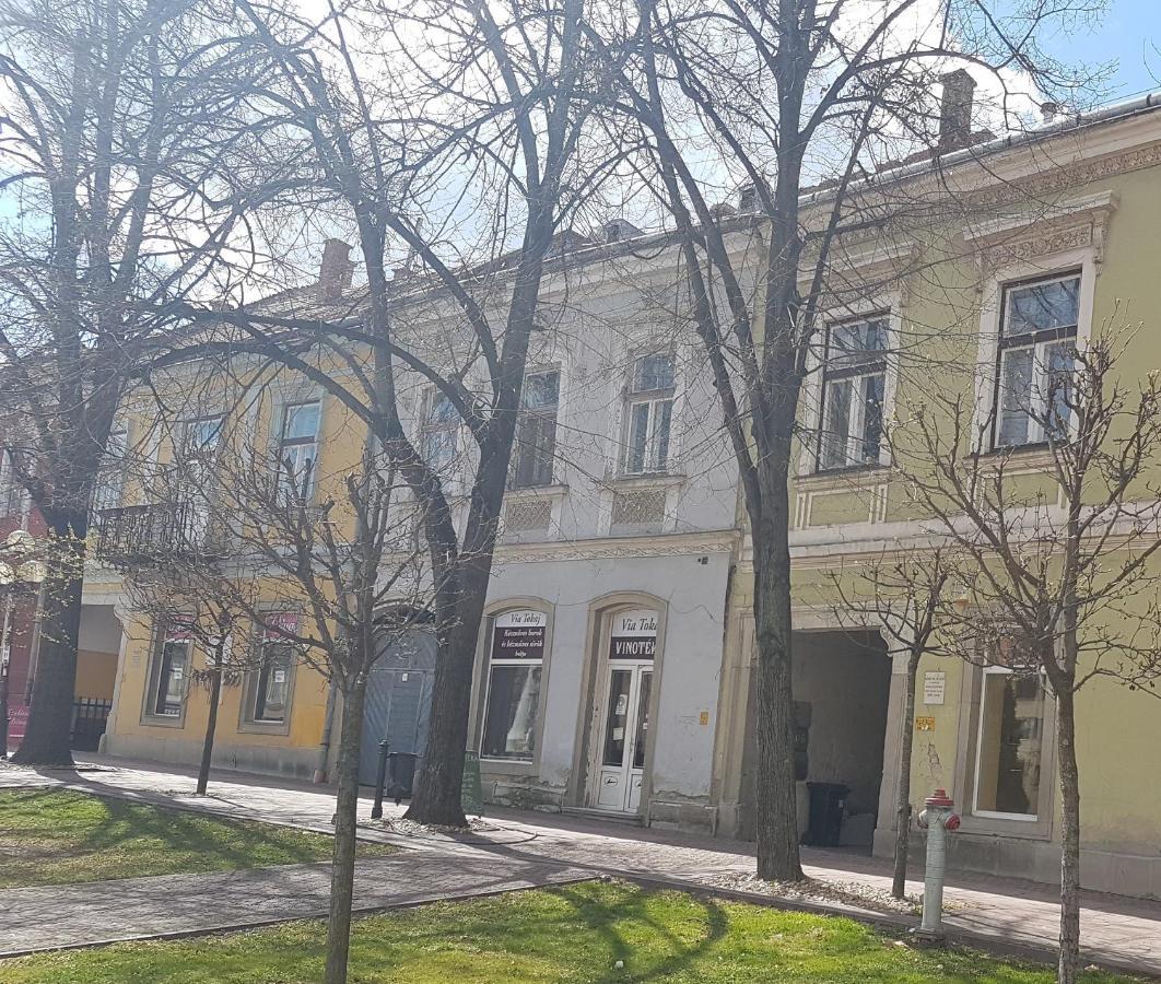 Via Tokaj Vendeghaz Apartment Sátoraljaújhely Екстериор снимка