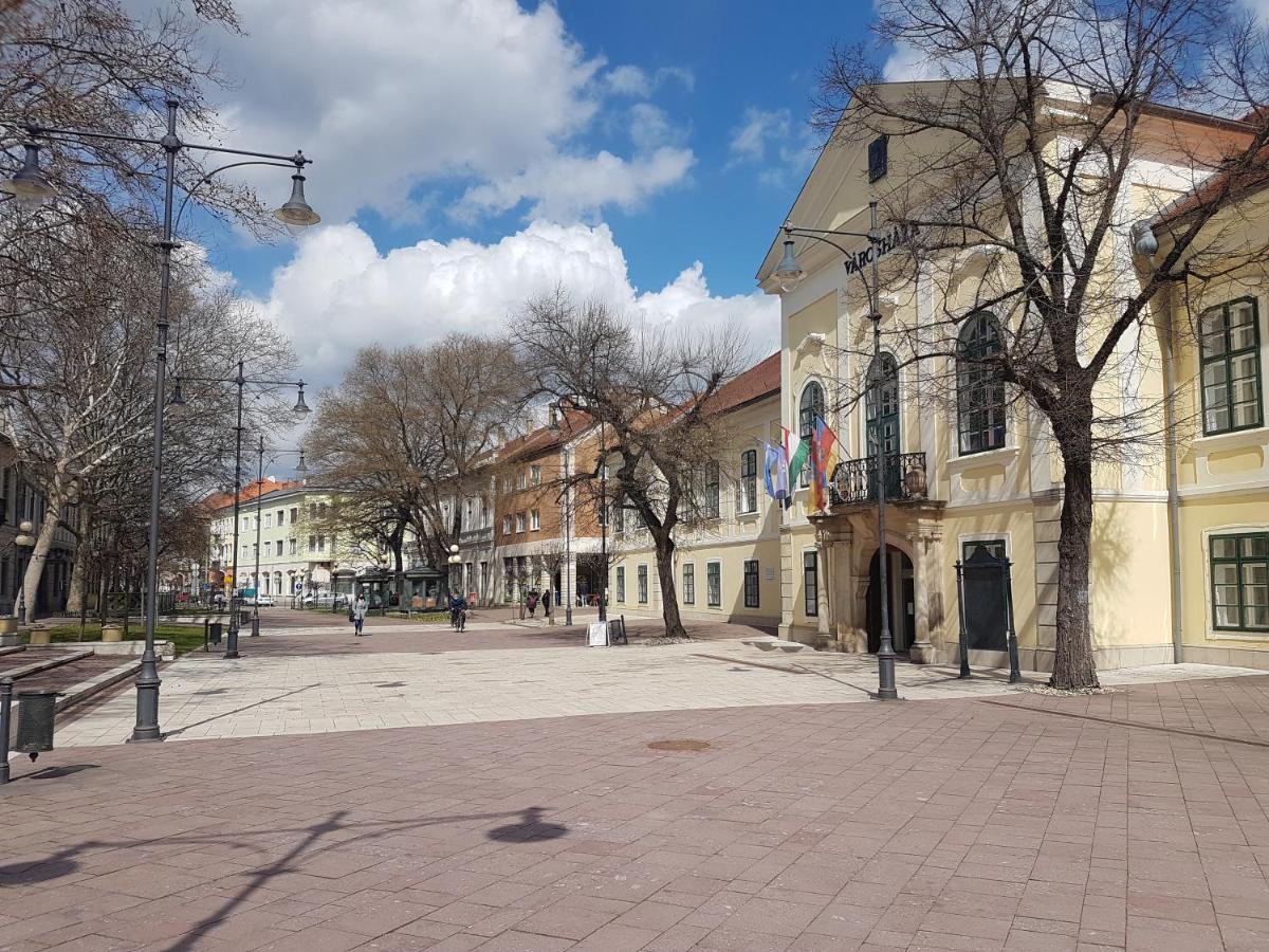 Via Tokaj Vendeghaz Apartment Sátoraljaújhely Екстериор снимка