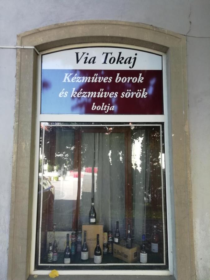 Via Tokaj Vendeghaz Apartment Sátoraljaújhely Екстериор снимка