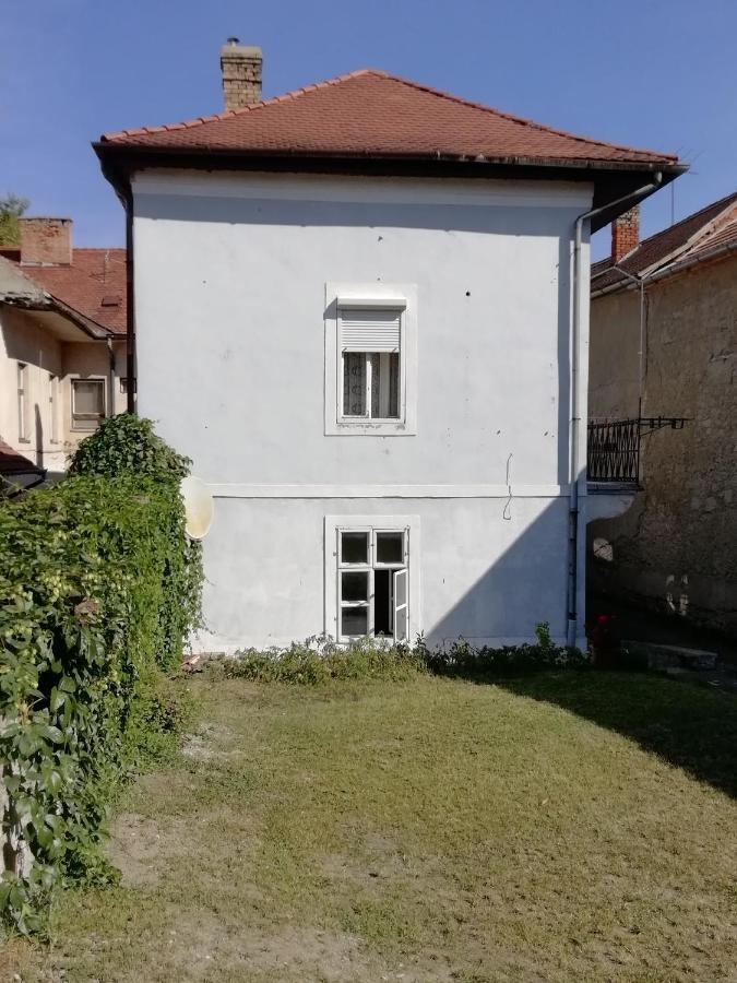 Via Tokaj Vendeghaz Apartment Sátoraljaújhely Екстериор снимка