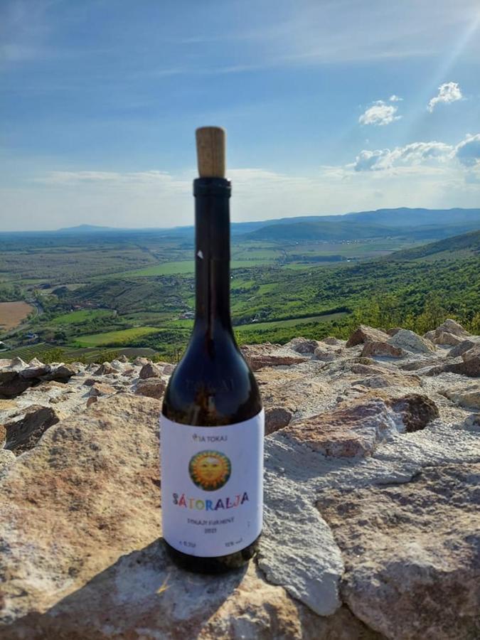 Via Tokaj Vendeghaz Apartment Sátoraljaújhely Екстериор снимка