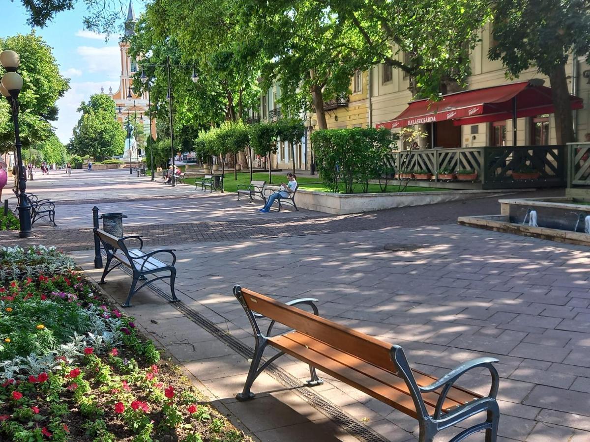 Via Tokaj Vendeghaz Apartment Sátoraljaújhely Екстериор снимка