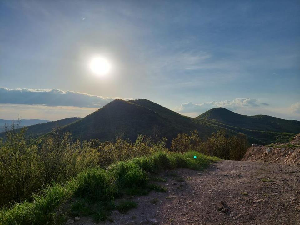 Via Tokaj Vendeghaz Apartment Sátoraljaújhely Екстериор снимка