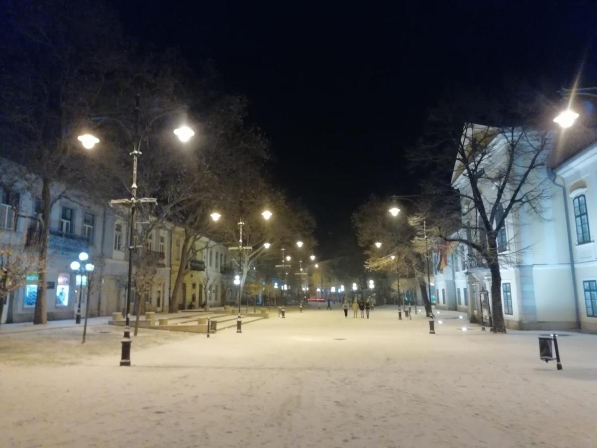 Via Tokaj Vendeghaz Apartment Sátoraljaújhely Екстериор снимка