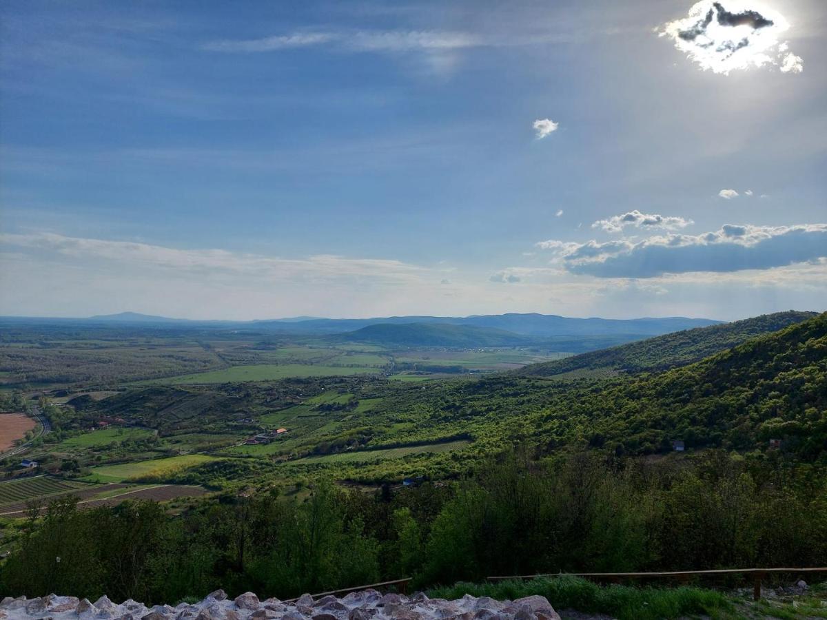 Via Tokaj Vendeghaz Apartment Sátoraljaújhely Екстериор снимка