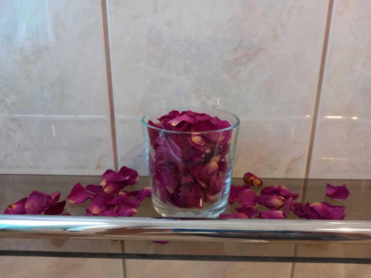 Via Tokaj Vendeghaz Apartment Sátoraljaújhely Екстериор снимка