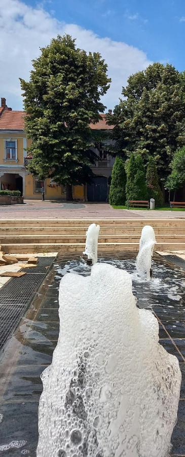Via Tokaj Vendeghaz Apartment Sátoraljaújhely Екстериор снимка