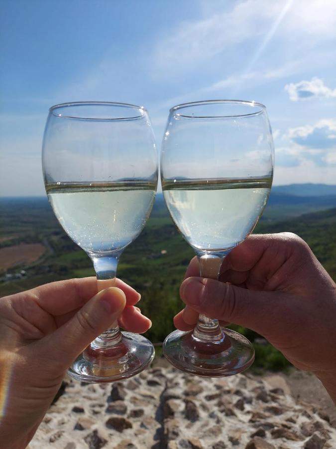 Via Tokaj Vendeghaz Apartment Sátoraljaújhely Екстериор снимка